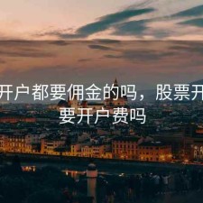 股票开户都要佣金的吗，股票开户需要开户费吗