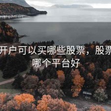 股票开户可以买哪些股票，股票开户哪个平台好