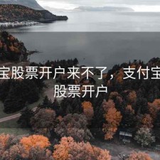 支付宝股票开户来不了，支付宝不能股票开户