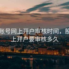 股票账号网上开户审核时间，股票网上开户要审核多久
