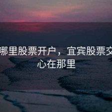 宜宾哪里股票开户，宜宾股票交易中心在那里