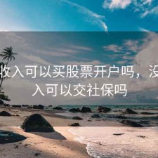 没有收入可以买股票开户吗，没有收入可以交社保吗