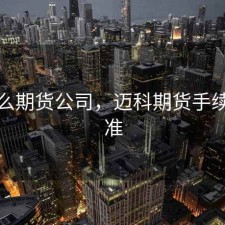 迈什么期货公司，迈科期货手续费标准