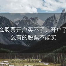 为什么股票开户买不了，开户了为什么有的股票不能买