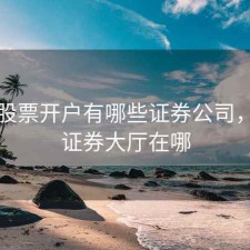 汉中股票开户有哪些证券公司，汉中证券大厅在哪