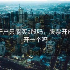 股票开户只能买a股吗，股票开户只能开一个吗