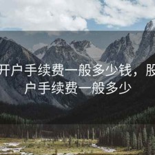 股票开户手续费一般多少钱，股票开户手续费一般多少