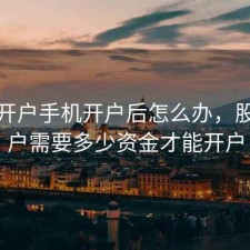 股票开户手机开户后怎么办，股票开户需要多少资金才能开户