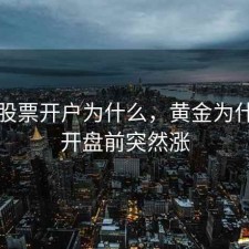 黄金股票开户为什么，黄金为什么在开盘前突然涨