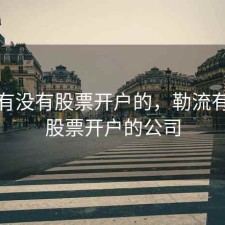 勒流有没有股票开户的，勒流有没有股票开户的公司