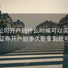 证券公司开户后什么时候可以买股票，证券开户后多久能拿到账号