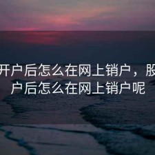 股票开户后怎么在网上销户，股票开户后怎么在网上销户呢