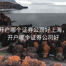 股票开户哪个证券公司好上海，股票开户哪个证券公司好
