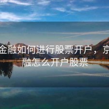 京东金融如何进行股票开户，京东金融怎么开户股票