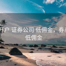 股票 开户 证券公司 低佣金，券商开户 低佣金