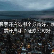 新手股票开户选哪个券商好，新手股票开户哪个证券公司好