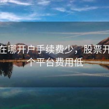 股票在哪开户手续费少，股票开户哪个平台费用低