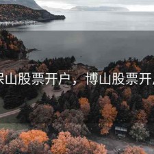 保山股票开户，博山股票开户