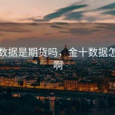 金十数据是期货吗，金十数据怎么样啊