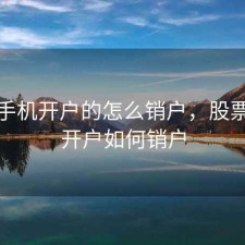 股票手机开户的怎么销户，股票手机开户如何销户