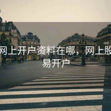 股票网上开户资料在哪，网上股票交易开户