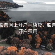 广州股票网上开户手续费，股票网上开户费用