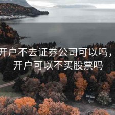 股票开户不去证券公司可以吗，证券开户可以不买股票吗