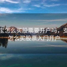 支付宝怎么买股票要开户吗，支付宝怎么买股票入门开户
