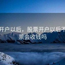 股票开户以后，股票开户以后不买股票会收钱吗