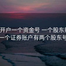 股票开户一个资金号 一个股东账户，一个证券账户有两个股东号