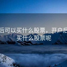 开户后可以买什么股票，开户后可以买什么股票呢