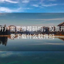 股票开户需要推荐码吗，股票开户需要下载什么软件吗