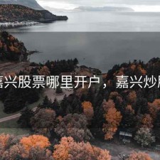 嘉兴股票哪里开户，嘉兴炒股