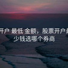 股票 开户 最低 金额，股票开户最低多少钱选哪个券商