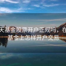 在天天基金股票开户正规吗，在天天基金上怎样开户交易