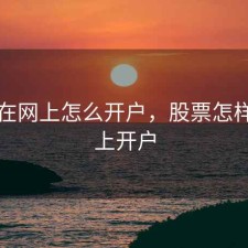 股票在网上怎么开户，股票怎样在网上开户