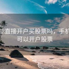 手机能直接开户买股票吗，手机可不可以开户股票