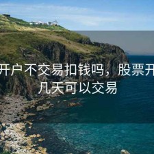 股票开户不交易扣钱吗，股票开户后几天可以交易