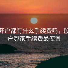 股票开户都有什么手续费吗，股票开户哪家手续费最便宜