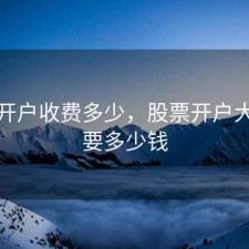 股票开户收费多少，股票开户大概需要多少钱