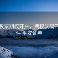 平安股票期权开户，期权交易开户条件 平安证券