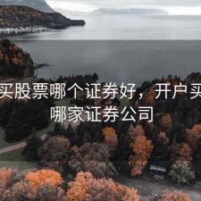 开户买股票哪个证券好，开户买股票哪家证券公司
