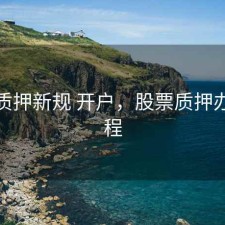 股票质押新规 开户，股票质押办理流程