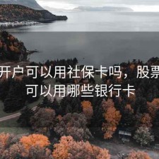 股票开户可以用社保卡吗，股票开户可以用哪些银行卡