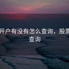 股票开户有没有怎么查询，股票开户查询