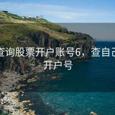 如何查询股票开户账号6，查自己股票开户号
