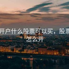 股票开户什么股票可以买，股票开户怎么开