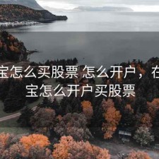 支付宝怎么买股票 怎么开户，在支付宝怎么开户买股票