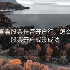 怎么查看股票是否开户行，怎么知道股票开户成没成功