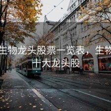 医药生物龙头股票一览表，生物医药十大龙头股